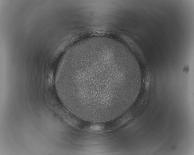 X0000114210610200910231408