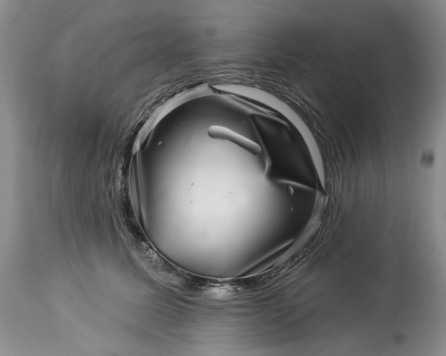 X0000114210611200910231408