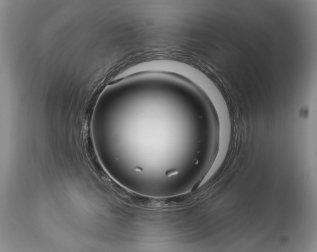 X0000114210613200910231408