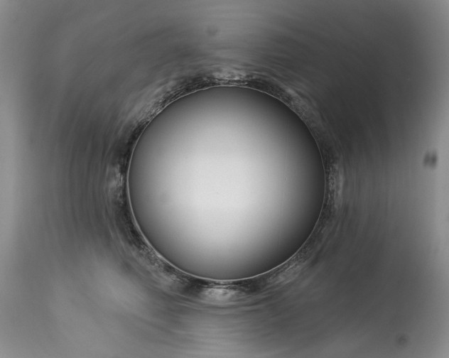 X0000114210614200910231408