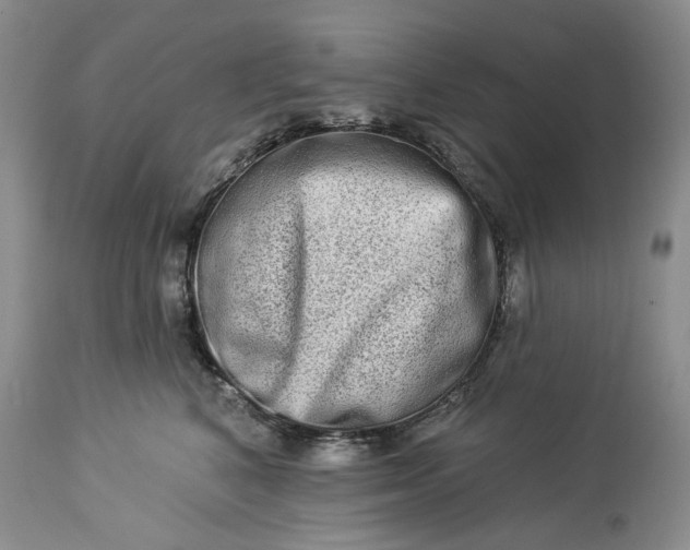 X0000114210616200910231408