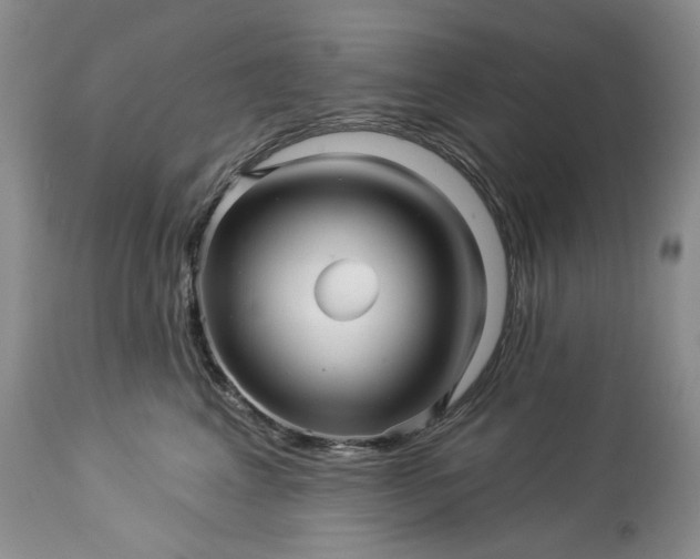 X0000114210617200910231408