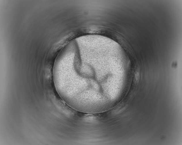 X0000114210620200910231407