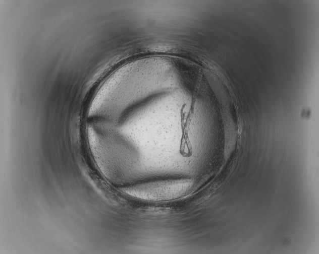 X0000114210626200910231407