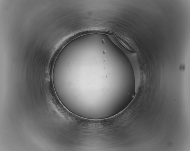 X0000114210628200910231407