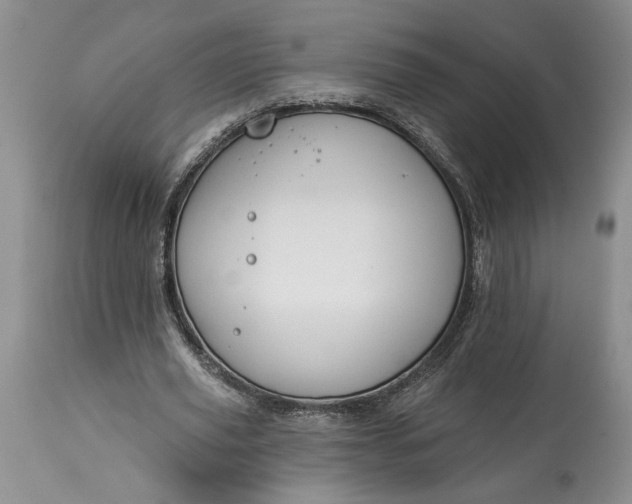 X0000114210629200910231407