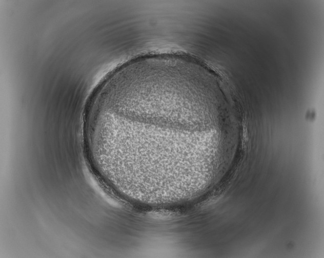 X0000114210630200910231407