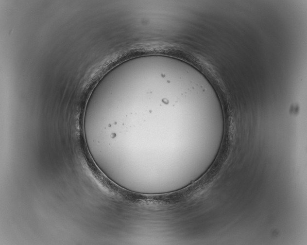 X0000114210633200910231407