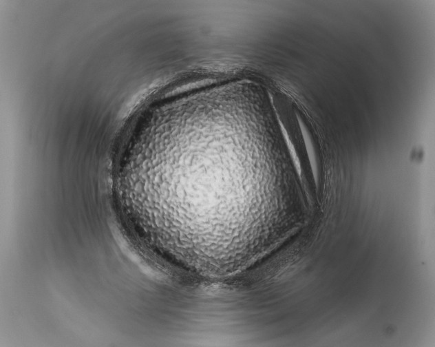 X0000114210634200910231407
