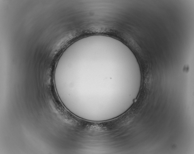 X0000114210635200910231407