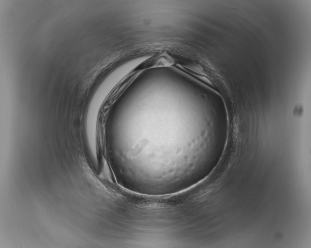 X0000114210637200910231407