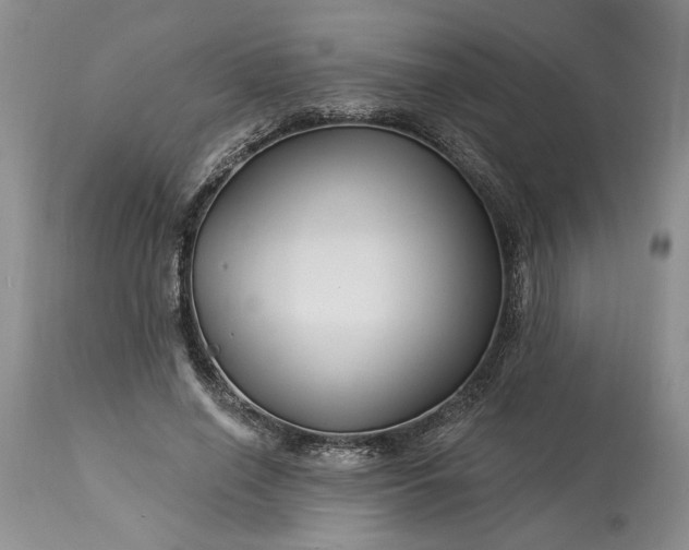 X0000114210638200910231407