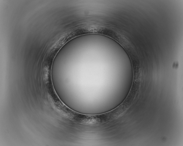 X0000114210646200910231407