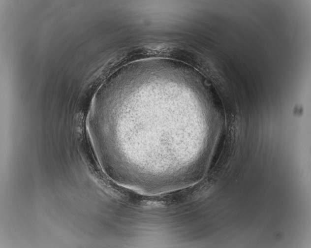 X0000114210649200910231407