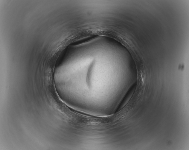 X0000114210650200910231407