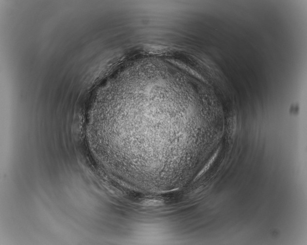 X0000114210653200910231407