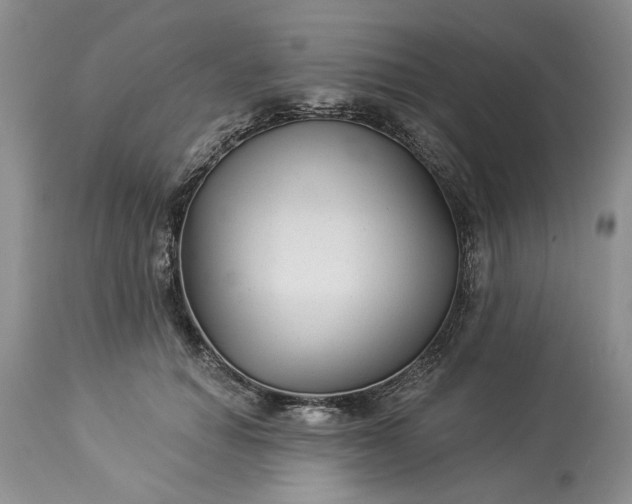 X0000114210654200910231407