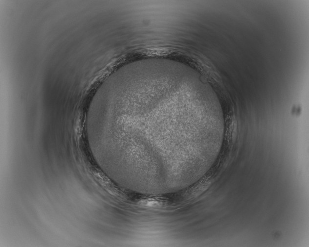 X0000114210655200910231407