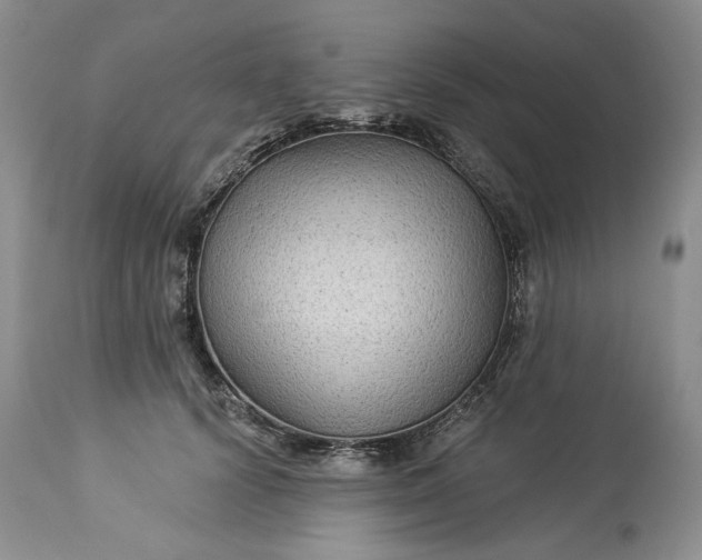 X0000114210656200910231407