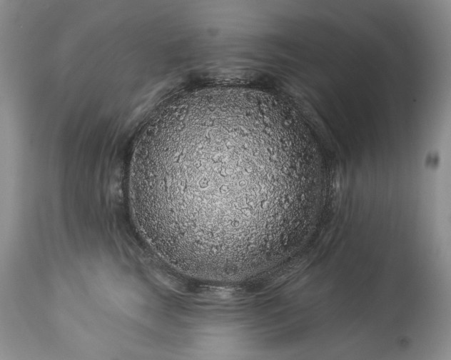 X0000114210663200910231407