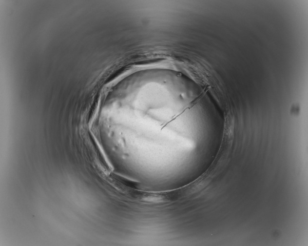 X0000114210669200910231407