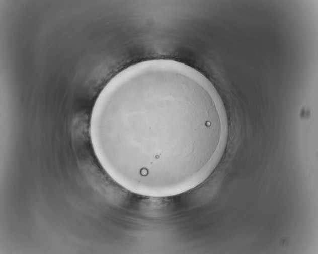 X0000114210672200910231407