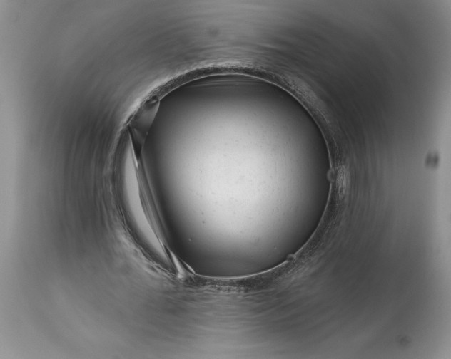 X0000114210676200910231407