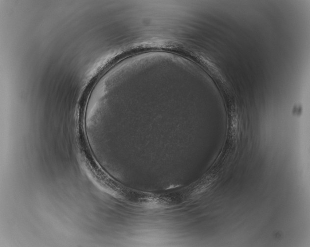X0000114210678200910231407