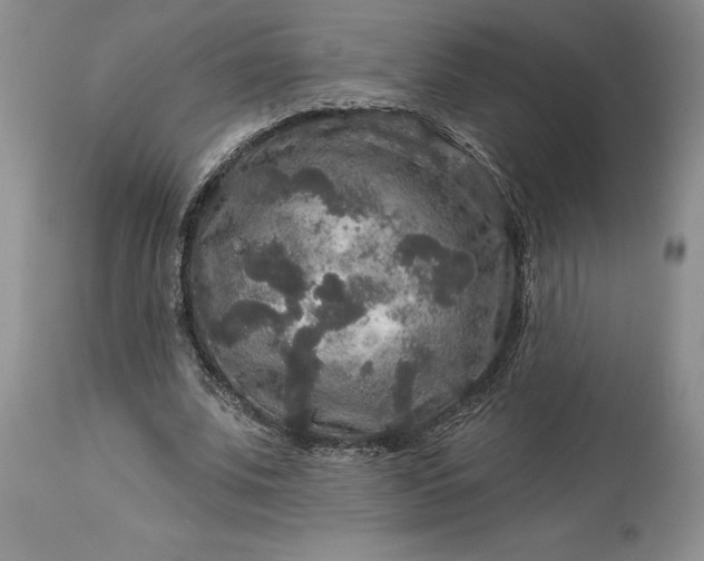 X0000114210679200910231406