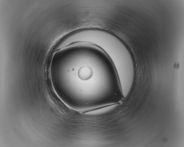 X0000114210680200910231406