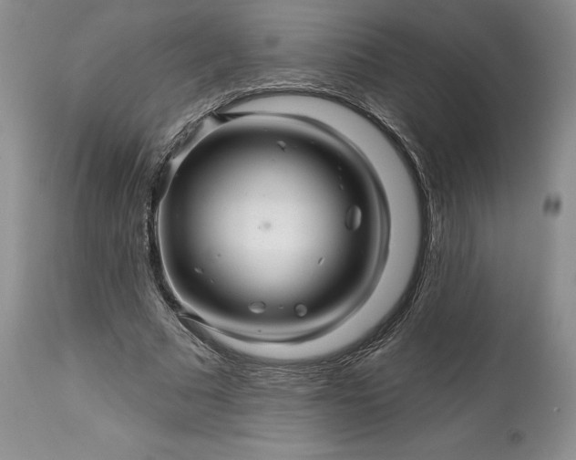 X0000114210681200910231406