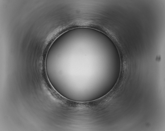 X0000114210682200910231406