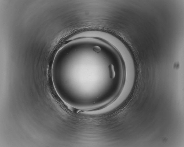 X0000114210685200910231406