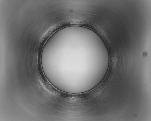 X0000114210686200910231406