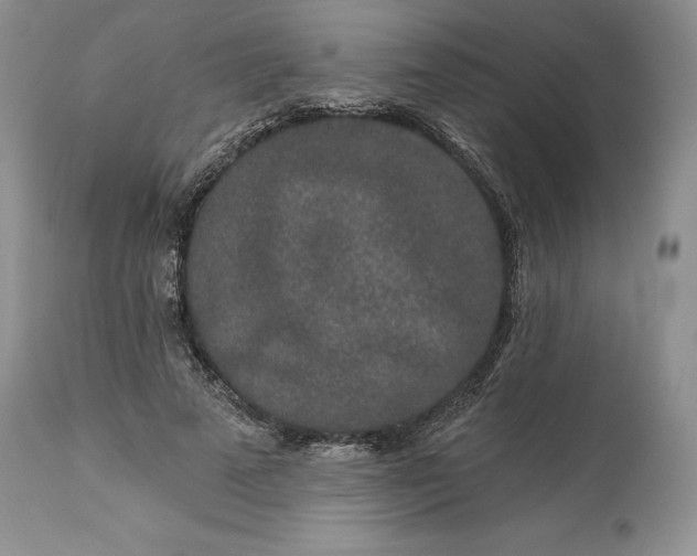 X0000114210689200910231406