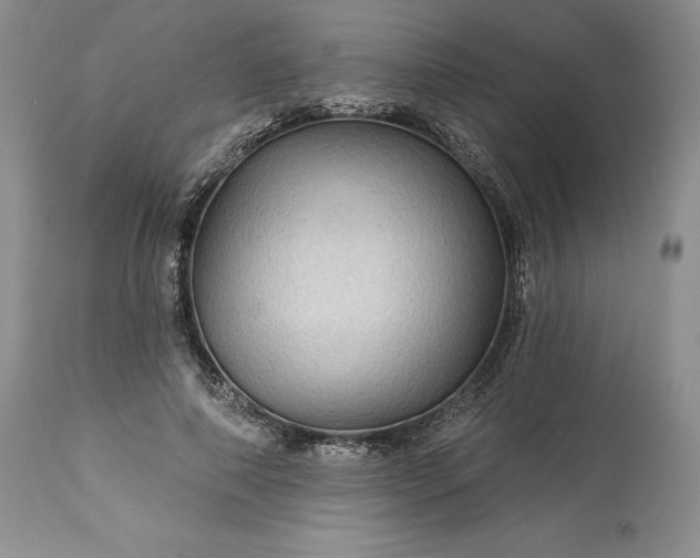 X0000114210690200910231406