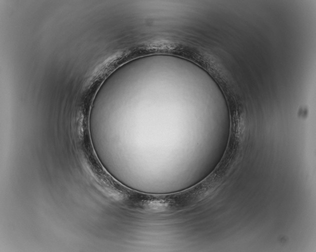 X0000114210692200910231406