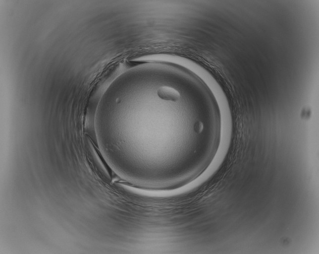 X0000114210693200910231406