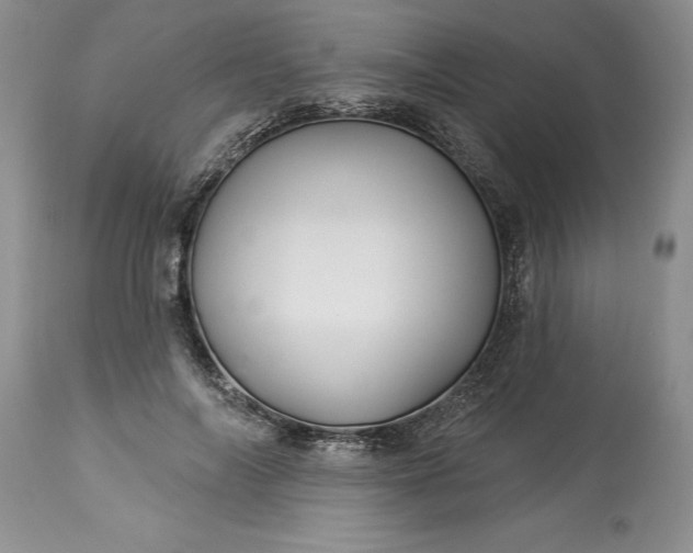 X0000114210694200910231406