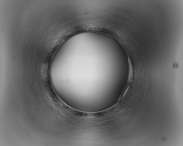 X0000114210695200910231406