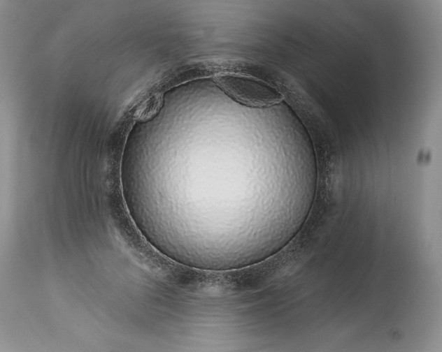 X0000114210696200910231406