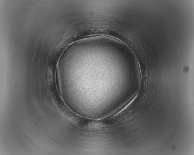 X0000114210699200910231406