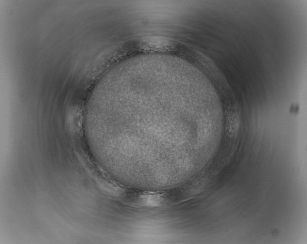 X0000114210701200910231406