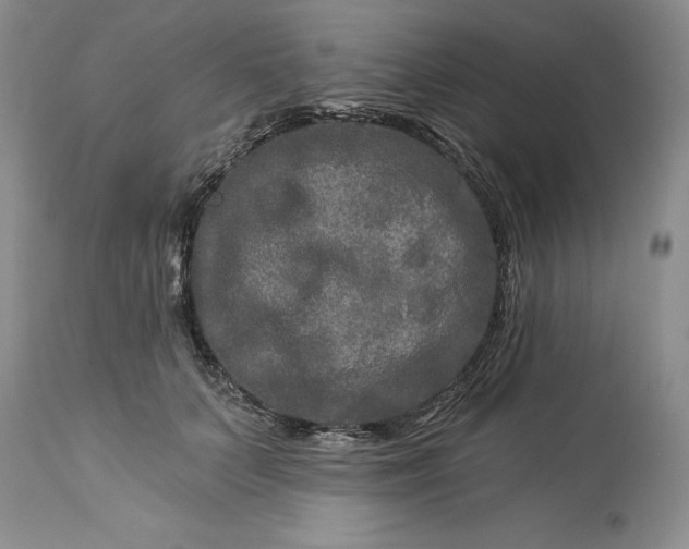 X0000114210703200910231406