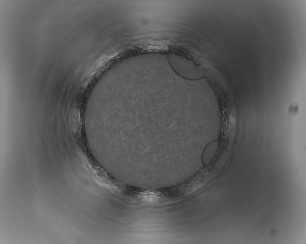 X0000114210704200910231406