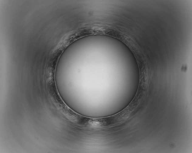 X0000114210706200910231406