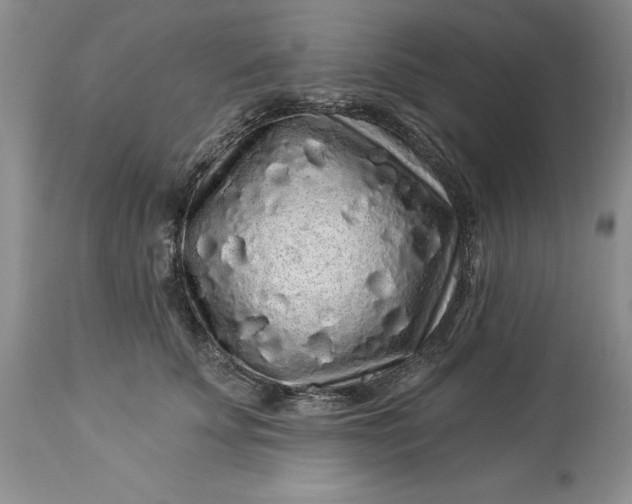 X0000114210707200910231406