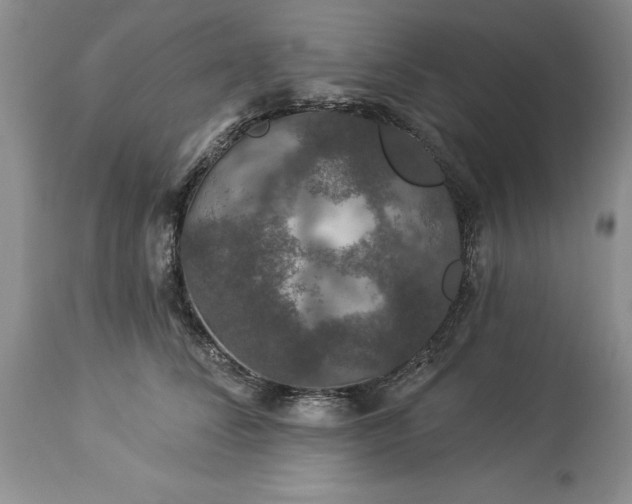 X0000114210708200910231406