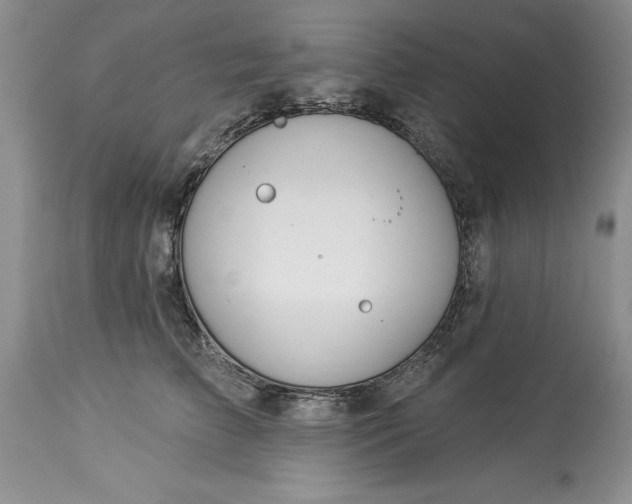 X0000114210709200910231406