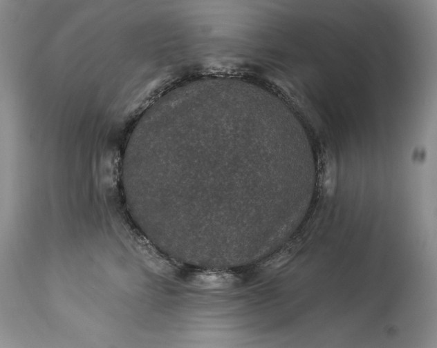X0000114210712200910231406